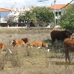 Altura Inn Beach *