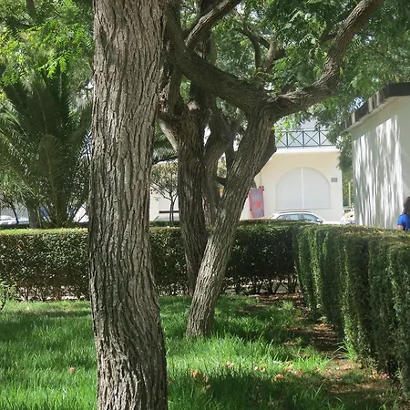 Altura Inn Beach Altura